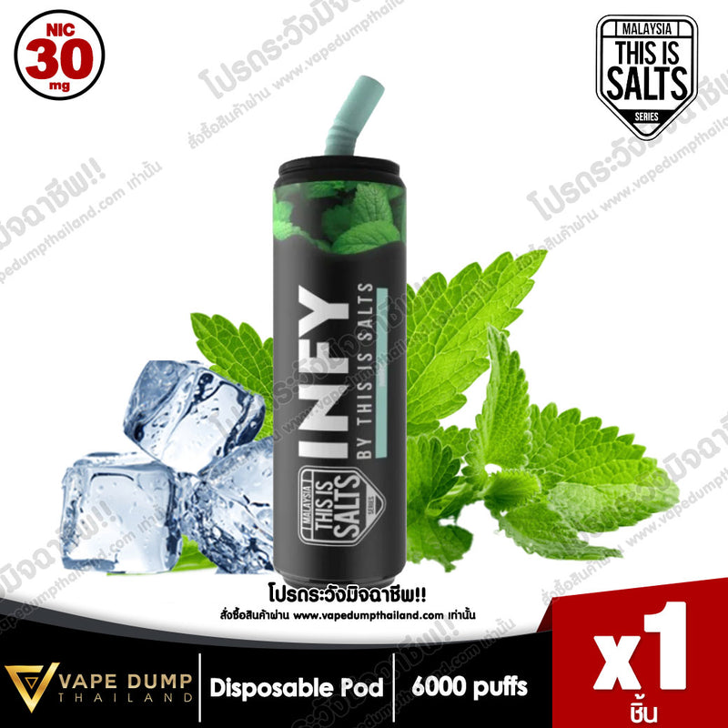 INFY Disposable Pod 6000 Puffs